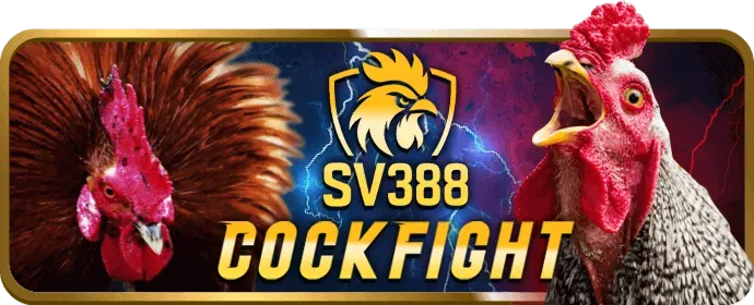 Giao diện cá cược thể thao với các môn bóng đá, bóng rổ tại vn188 casino
